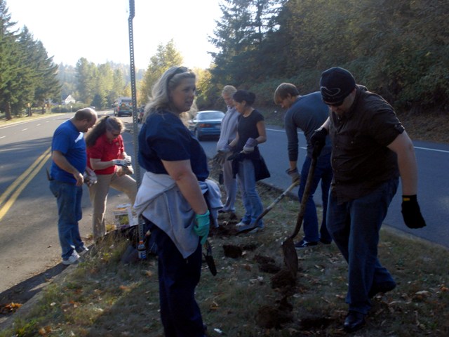 Fall 2008 Bulb Planting